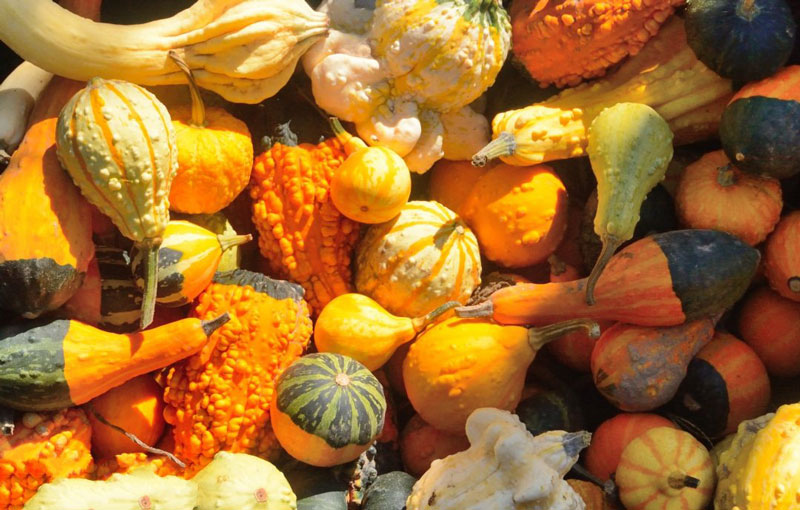 自動(dòng)氣象站促進(jìn)特色農(nóng)產(chǎn)品氣象服務(wù)水平發(fā)展 自動(dòng)氣象站促進(jìn)特色農(nóng)產(chǎn)品氣象服務(wù)水平發(fā)展